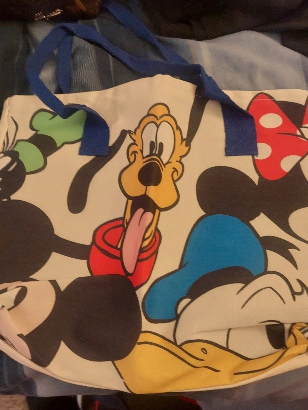 Disney Characters Canvas Tote Bag in Multicolor